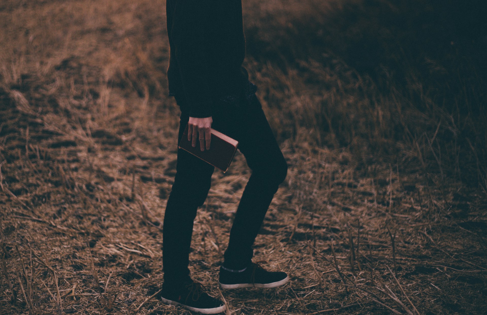 Reflections for a Hardened Heart